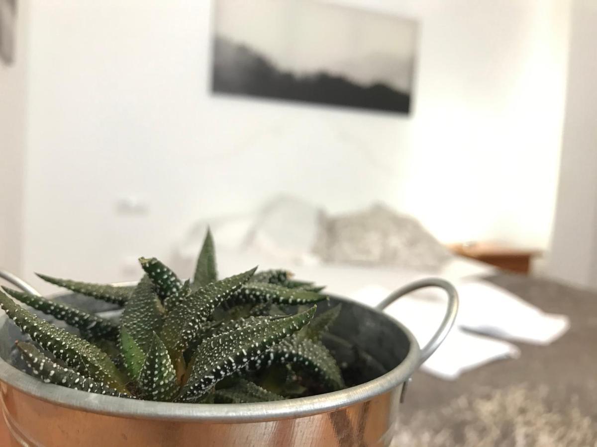 Apartamentos Arha Potes Εξωτερικό φωτογραφία